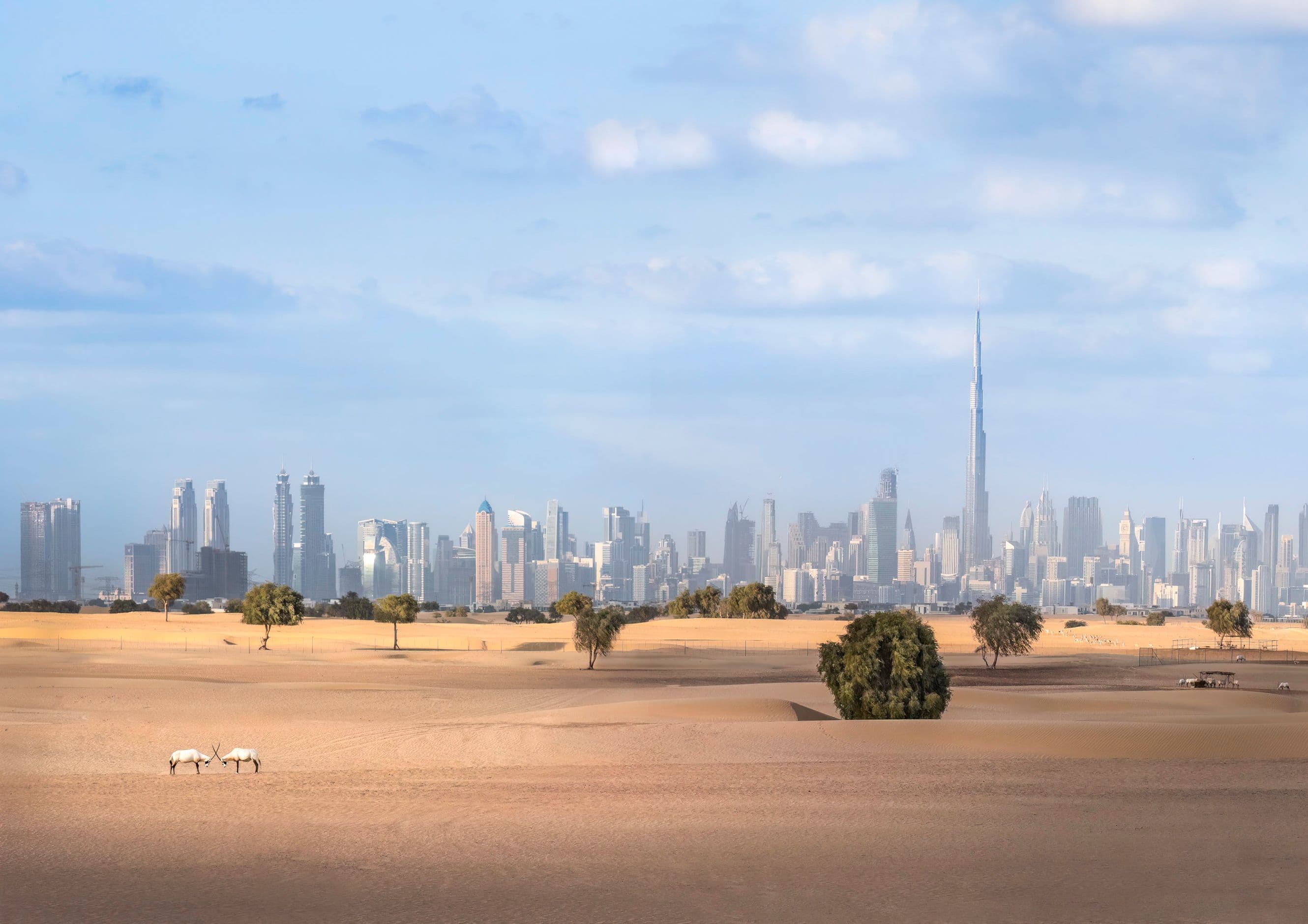 UAE scenery